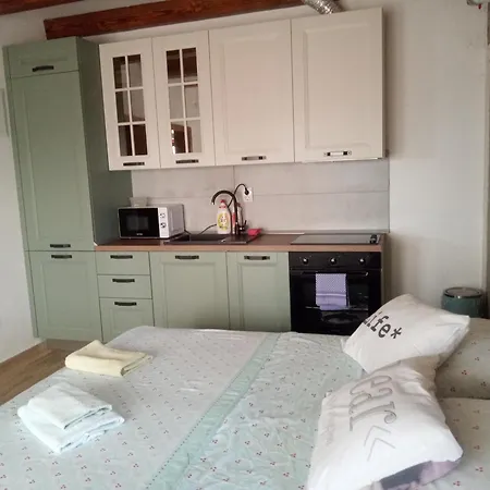 Studio Apartman Luka Apartment Starigrad Paklenica Room photo